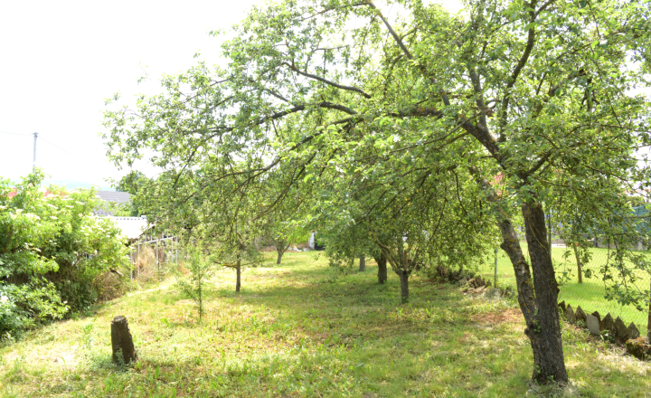 Domček s veľkým pozemkom 804 m² - fotografia 1