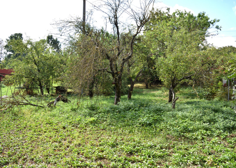 Veľký pozemok 1 322 m² – rodinný dom s potenciálom
